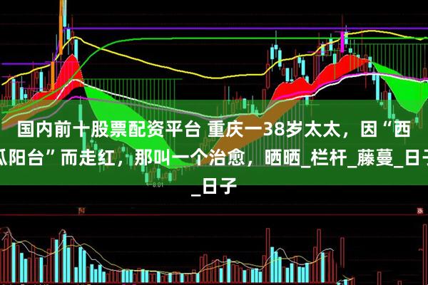 国内前十股票配资平台 重庆一38岁太太，因“西瓜阳台”而走红，那叫一个治愈，晒晒_栏杆_藤蔓_日子